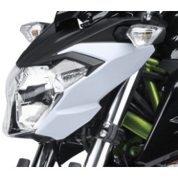 Carénage Face Avant Gauche Kawasaki Z650