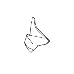 Carénage Face Avant Gauche Kawasaki Z650