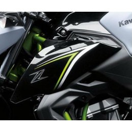 Carénage Ecope Gauche Kawasaki Z650