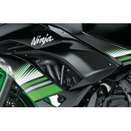 Cowling Center Left Kawasaki NINJA 650 2017 2018 2019