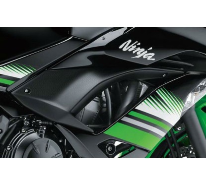 Cowling Center Right Kawasaki NINJA 650 2017 2018 2019