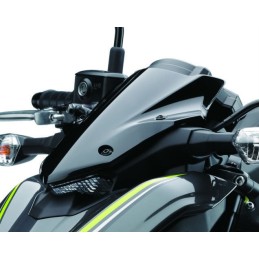 Bulle Saute Vent Kawasaki Z900 2017 2018 2019