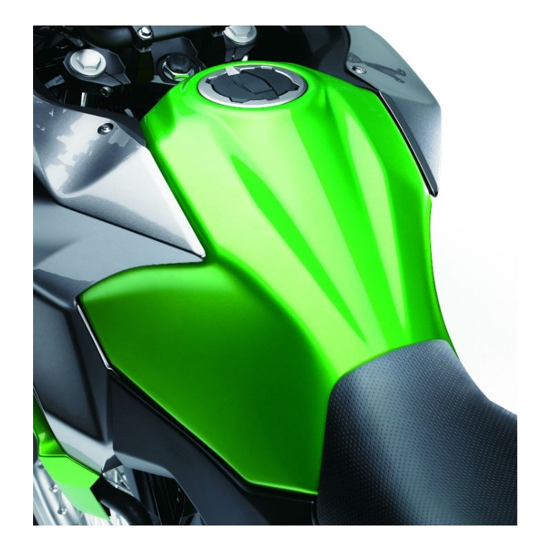 Fuel Tank Kawasaki Versys-X 300