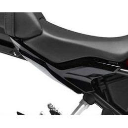 Rear Panel Right Honda CB300R
