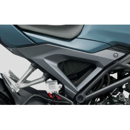 Carénage Centre Droit Honda CB150R