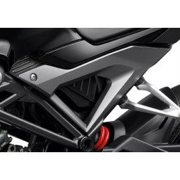 Carénage Centre Gauche Honda CB150R