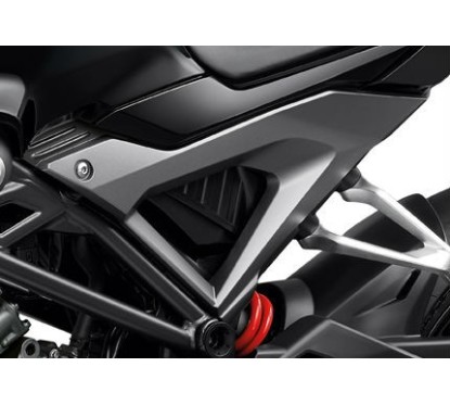 Carénage Centre Gauche Honda CB150R