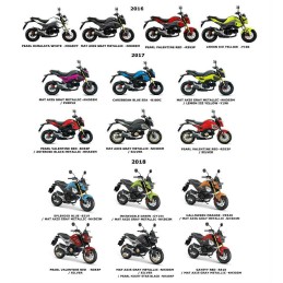 Carénage Arrière Droit Honda Msx 125SF