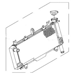Radiator Kawasaki Z650