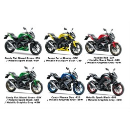 Shroud Right Kawasaki Z300