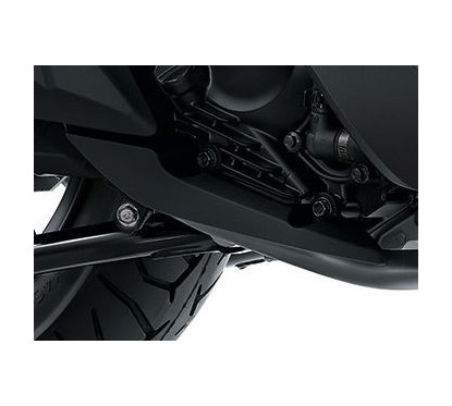 Protector Pipe Honda Forza 300 2018 2019 2020