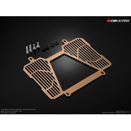 Titanium Radiator Guard Bikers BMW G310R