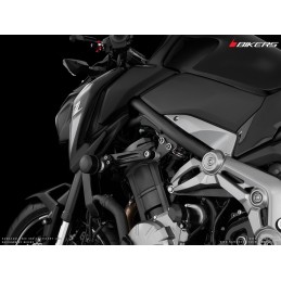 Fairing Guard Set Bikers Kawasaki Z900