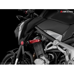 Fairing Guard Set Bikers Kawasaki Z900
