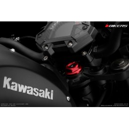 Center Bolt Bikers Kawasaki Z900