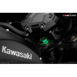 Vis Centrale Bikers Kawasaki Z900