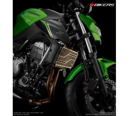 Titanium Coating Radiator Guard Bikers Kawasaki Z650