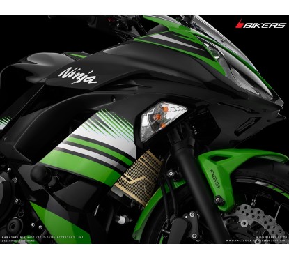 Grille Protection Radiateur Titane Bikers Kawasaki NINJA 650