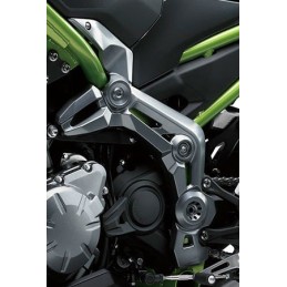 Cover Pivot Left Kawasaki Z900 2017 2018 2019