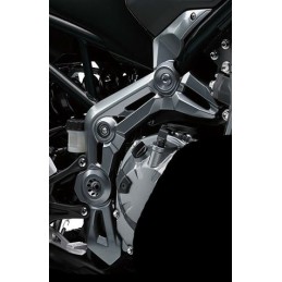 Cover Pivot Right Kawasaki Z900 2017 2018 2019