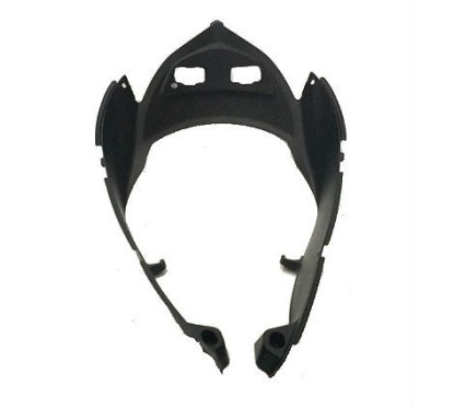 Carénage Radiateur Kawasaki Ninja 250R