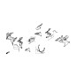 Cowling Right Middle Honda CBR650R 2019 2020