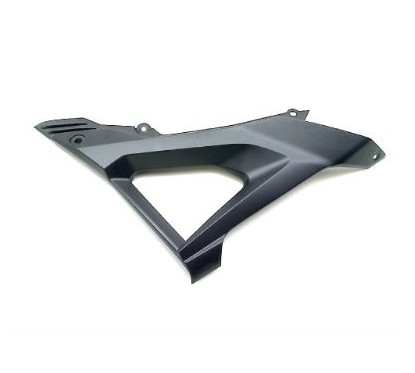 Carénage Centre Gauche Honda CB150R