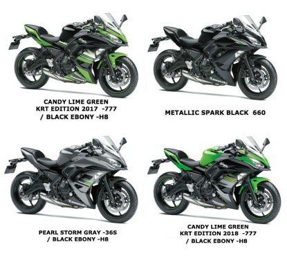 Cowling Side Right Kawasaki NINJA 650 2017 2018 2019