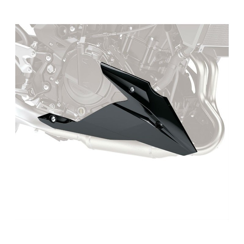 Accessory Lower Cowling Kawasaki Z250 2019/2022