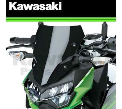 Accessory Meter Cover Kawasaki Z250 2019/2022