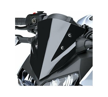 Cover Meter Kawasaki Z250 2019/2022