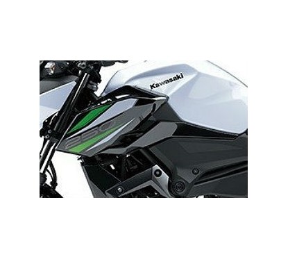 Shroud Outer Left Kawasaki Z250 2019/2022