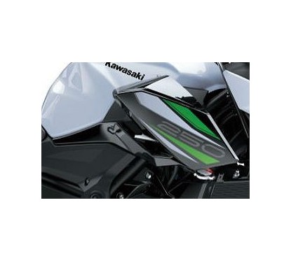 Shroud Outer Right Kawasaki Z250 2019/2022