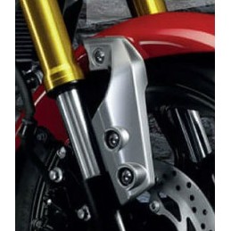 Right Front Fender Cover Yamaha XSR 155