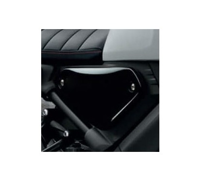 Right Side Cover Yamaha XSR 125/155