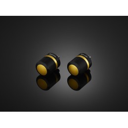 Embouts de Guidon Bikers Kawasaki NINJA ZX-6R