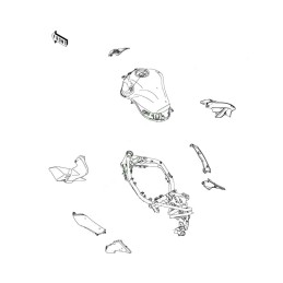 Fuel Tank Kawasaki Z900 2020 2021