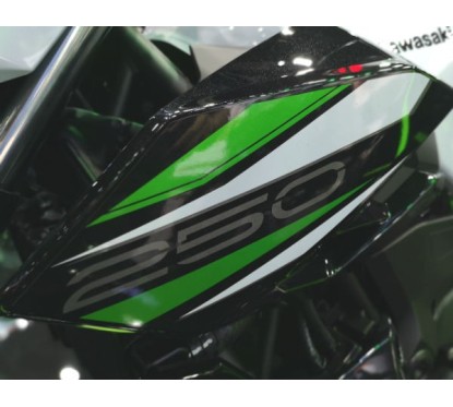 Pattern Shroud Outer Left Kawasaki Z250