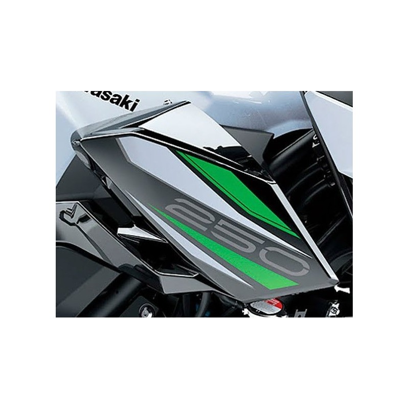 Pattern Shroud Outer Right Kawasaki Z250 2019