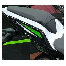 Pattern Rear Cover Right Kawasaki Z250