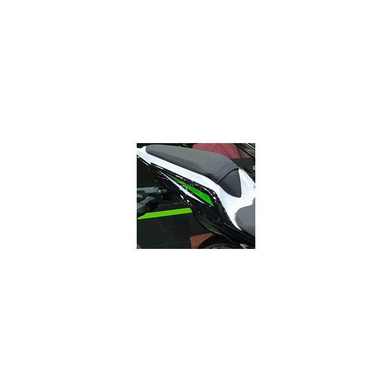 Pattern Rear Cover Right Kawasaki Z250 2019