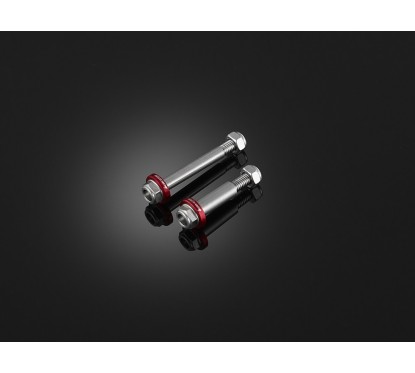 Stainless Bolts for Levers Bikers Kawasaki