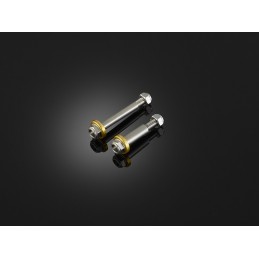 Stainless Bolt for Levers Bikers Kawasaki