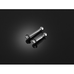 Vis Stainless Leviers Bikers Kawasaki