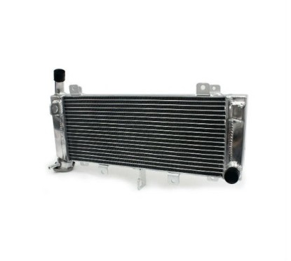 Radiator Kawasaki Z650 2020 2021