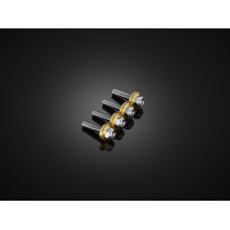 Stainless Bolts Set for Windshield Bikers Honda ADV 150