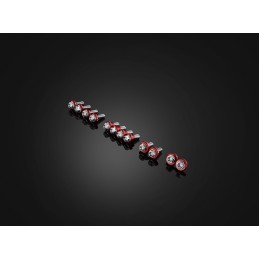 Kit Vis Stainless pour Carénages Bikers Honda CB650R