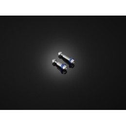 Stainless Bolts For Levers Bikers Honda CMX 500 Rebel