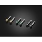 Stainless Bolt for Levers Bikers Kawasaki Z1000 2017/2022