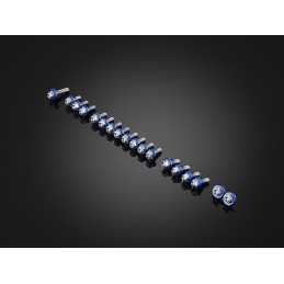 Stainless Bolts Set For Fairing Bikers Honda CBR650R